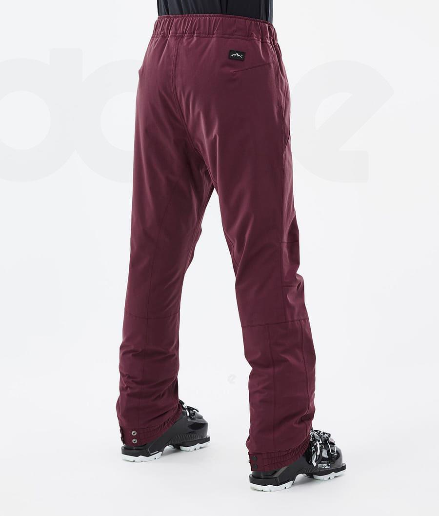Burgundy Women's Dope Blizzard W Ski Pants | NZ_D1470