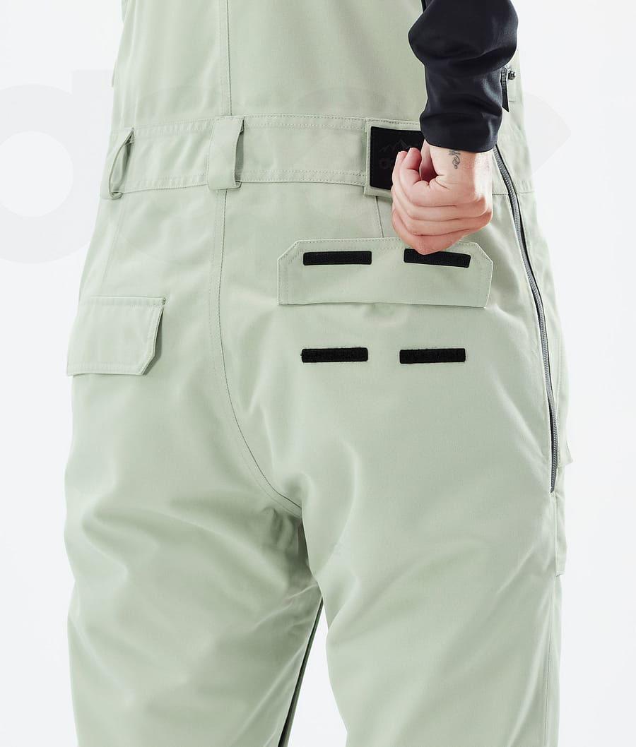 Green Women's Dope Notorious B.I.B W Ski Pants | NZ_D1116